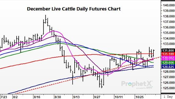 Cattle110521 