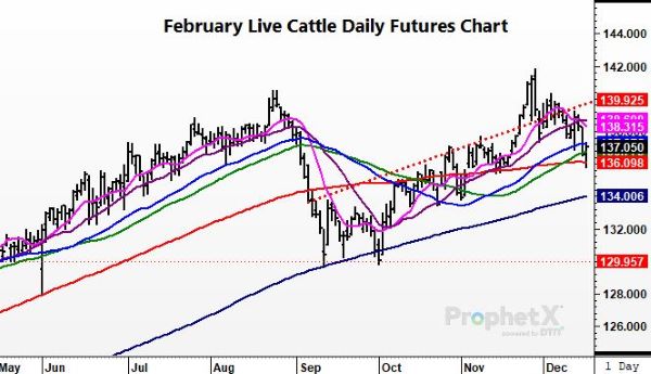 Cattle121621 