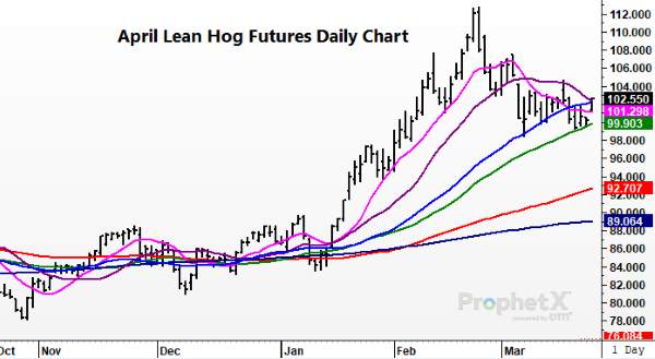 Today In Lean Hogs 03-23-2022 - Total Farm Marketing By Stewart-Peterson