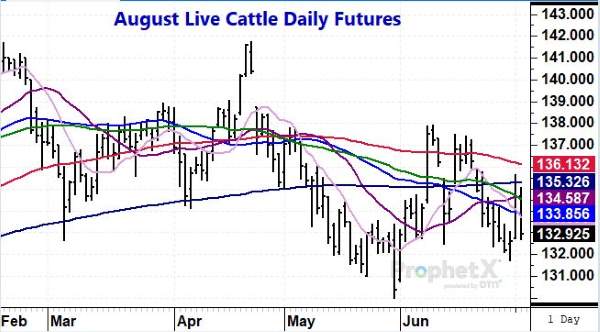 Cattle070522 