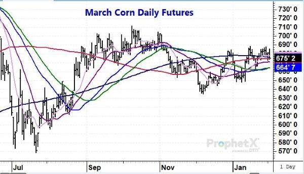 Today In Corn Total Farm Marketing By Stewart Peterson