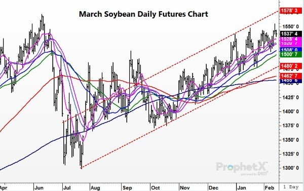 Today In Soybeans 2 14 2023 Total Farm Marketing By Stewart Peterson   Soybeans021423 