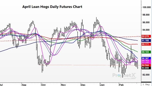 Today In Lean Hogs 3-2-2023 - Total Farm Marketing By Stewart-Peterson